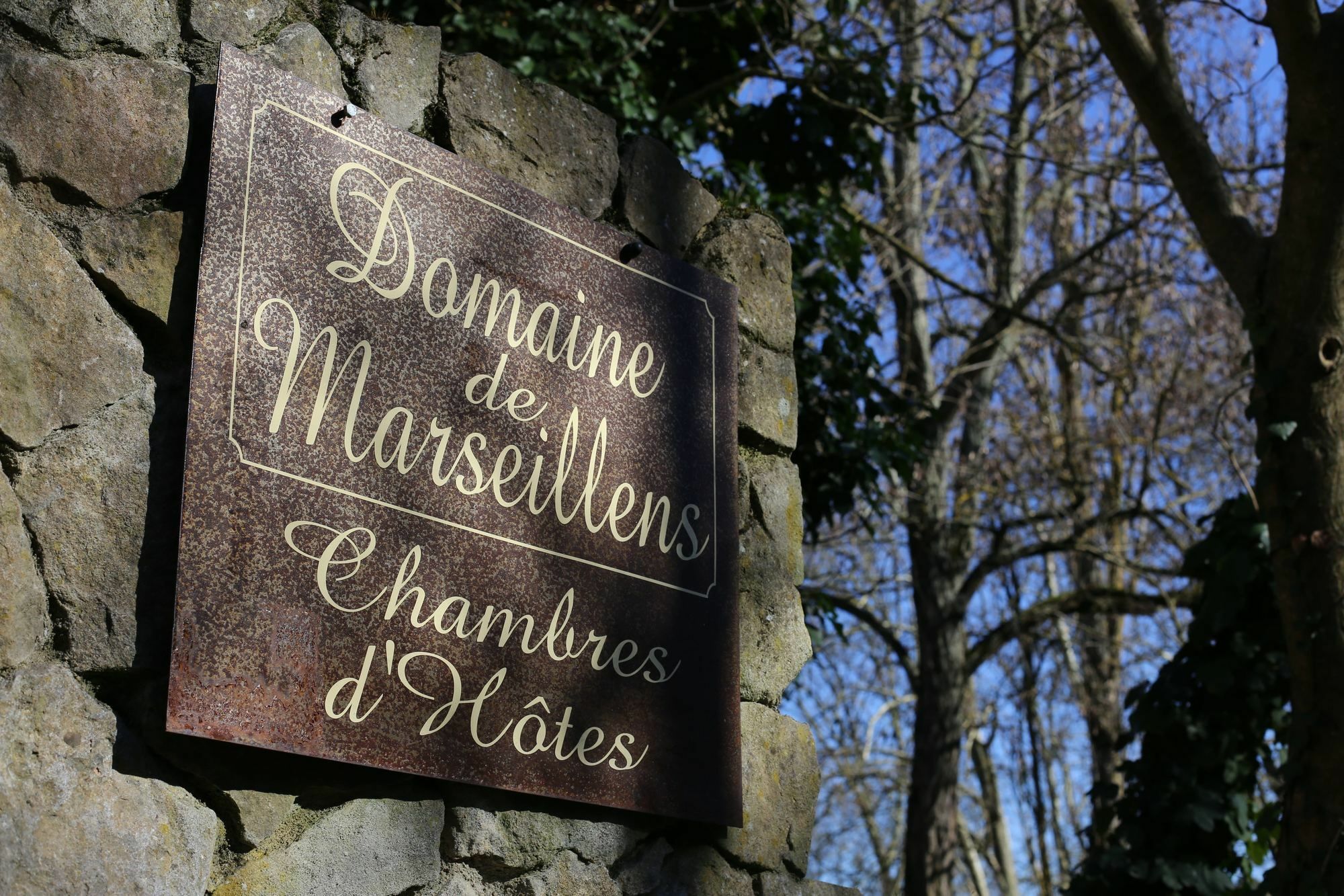 Domaine De Marseillens Bed & Breakfast Palaja Bagian luar foto